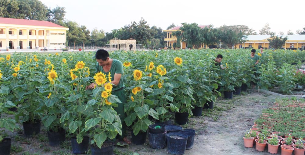 Chủ động, sáng tạo chăm lo Tết cho bộ đội
