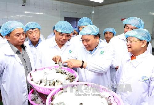 Thủ tướng Nguyễn Xuân Phúc thăm mô hình chế biến tôm xuất khẩu tại Cà Mau