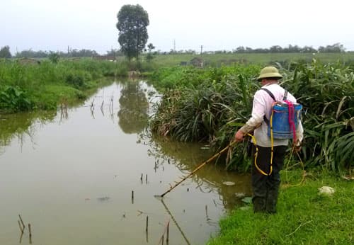 Thông tin từ đường dây nóng