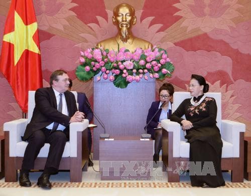 Chủ tịch Quốc hội Nguyễn Thị Kim Ngân tiếp Đại sứ Thụy Điển và Đại sứ Hungary