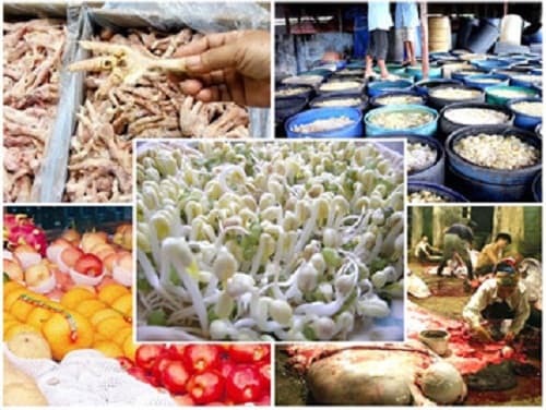 KHÔNG THỂ CHẬM TRỄ VỚI HIỂM HỌA THỰC PHẨM “BẨN”