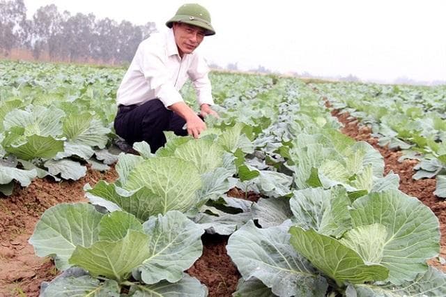 Bài toán nào cho thực phẩm an toàn?