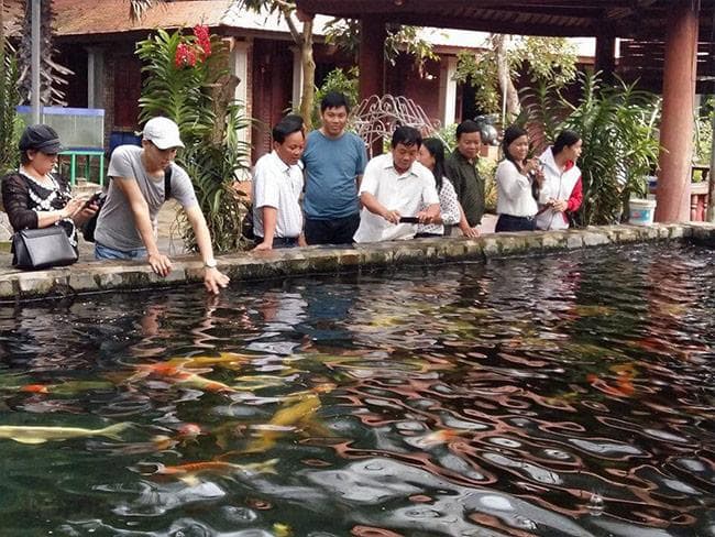 Hoa lan, cây cảnh phủ xanh “Đất thép”