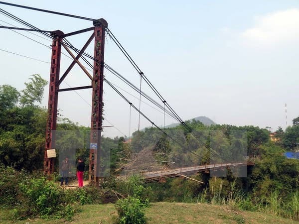 Thông tin từ đường dây nóng