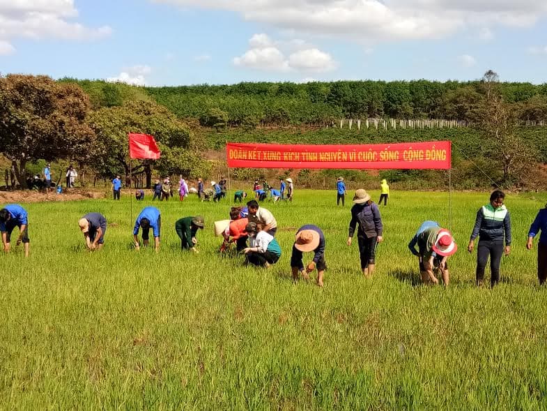 Thanh niên Công ty 72 (Binh đoàn 15) ra quân giúp dân cải tạo máng nước