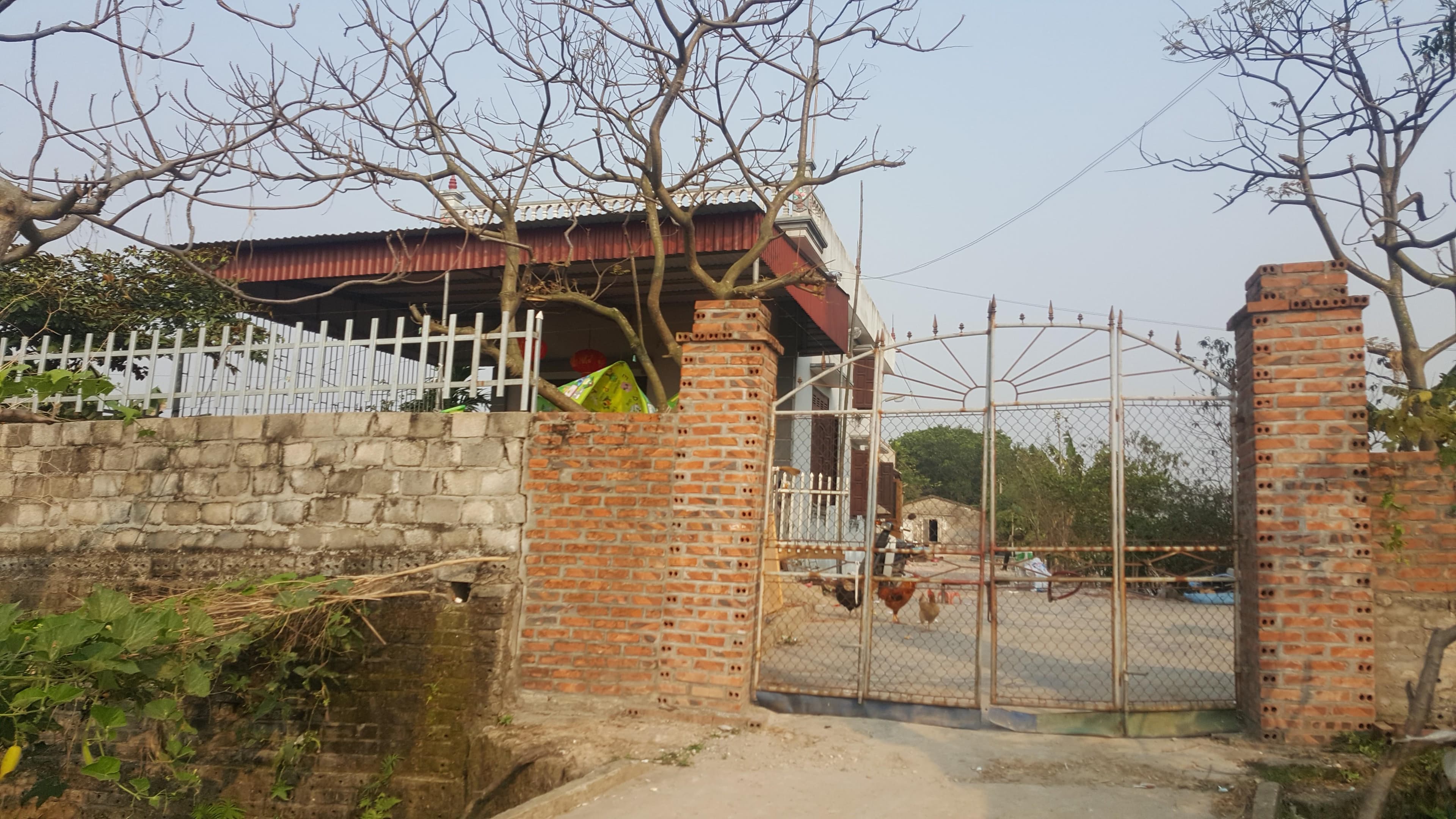Nhanh chóng điều tra, làm rõ