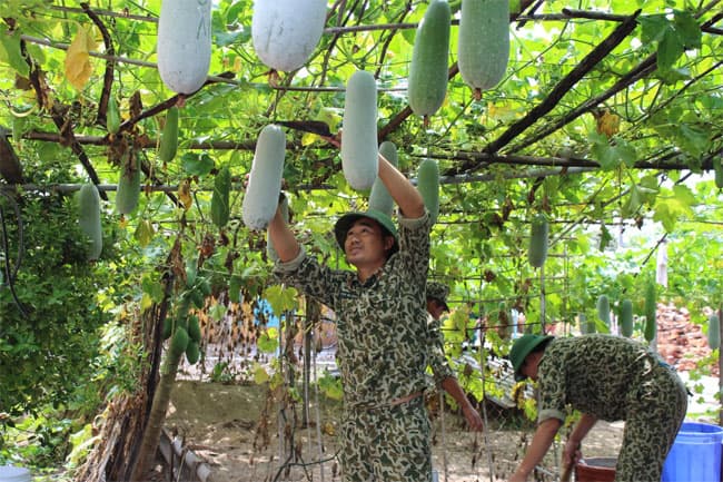 Hậu cần “đi trước, về sau"