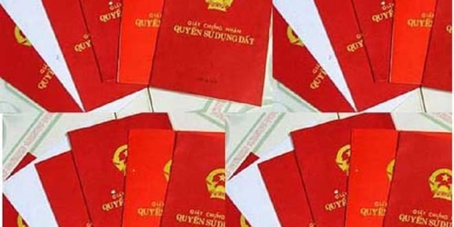 Thông tin từ đường dây nóng