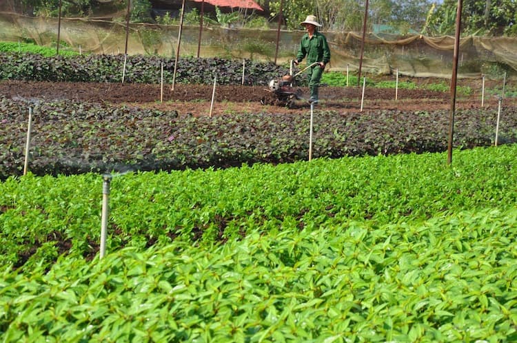 Tấm gương thương binh làm kinh tế giỏi