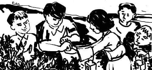 Châu chấu và con dế mèn