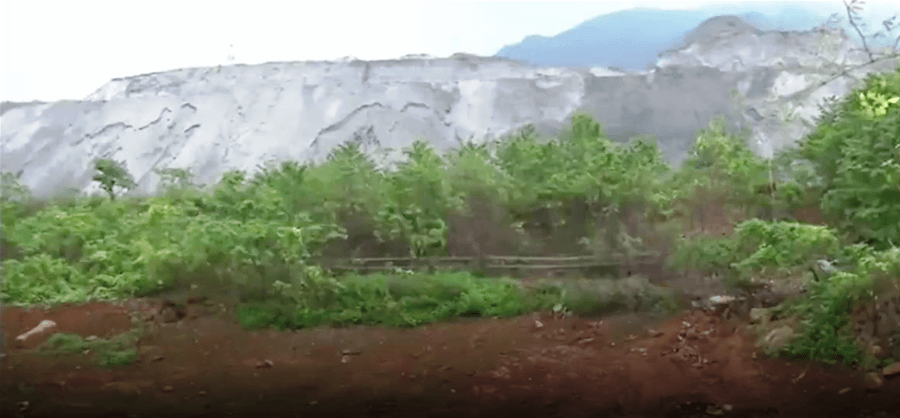 Thông tin từ đường dây nóng