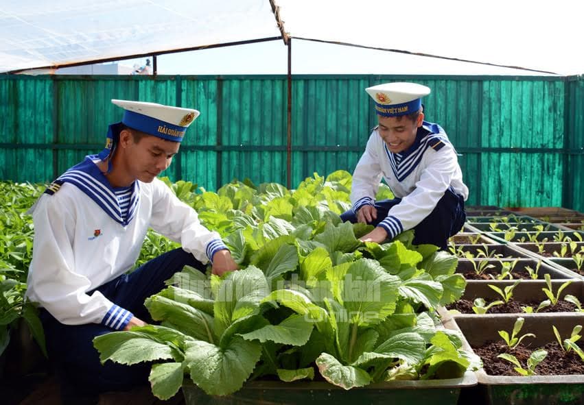 Những “kỹ sư nông nghiệp” trên đảo Phan Vinh