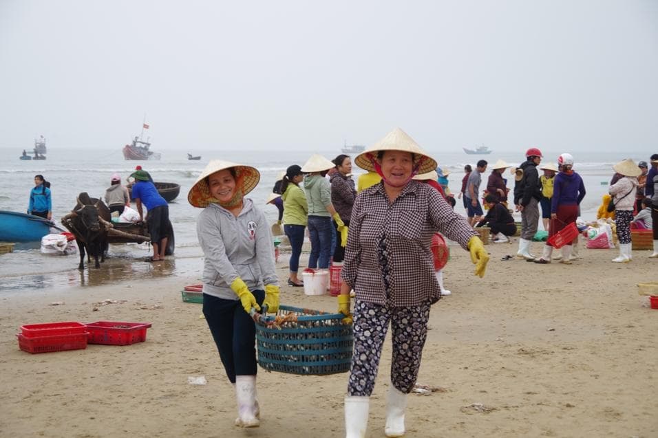 Ngư dân miền Trung vào vụ cá nam