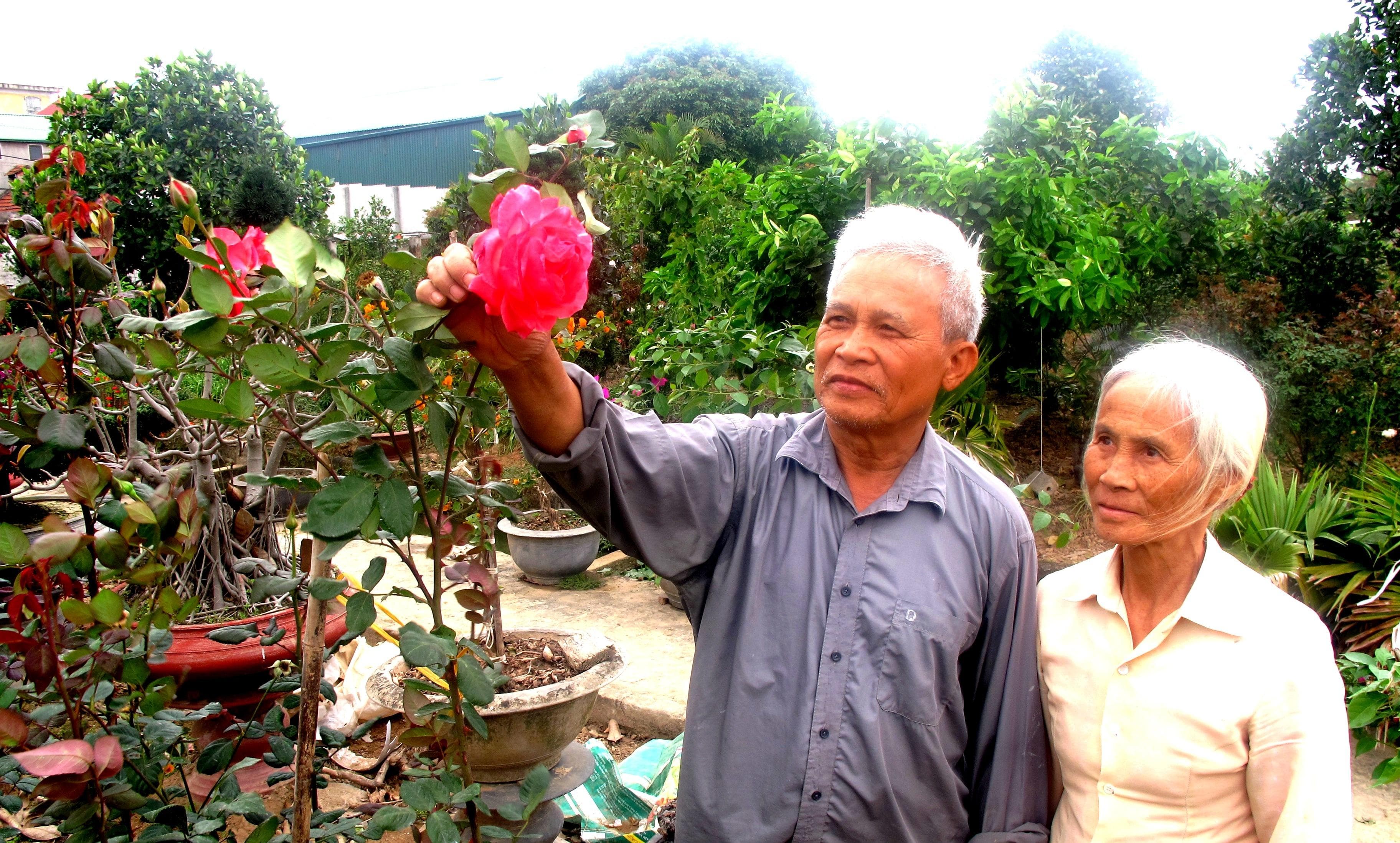 Tuổi cao vẫn "làm đẹp" cho đời