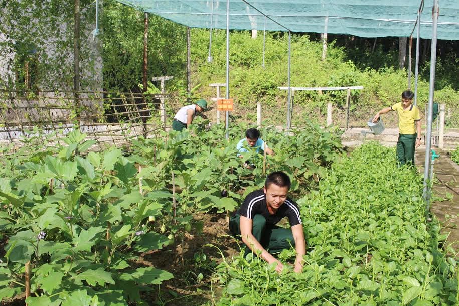 Chung sức, đồng lòng bảo đảm tốt đời sống bộ đội.