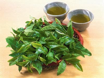 Bát nước chè xanh quê nhà