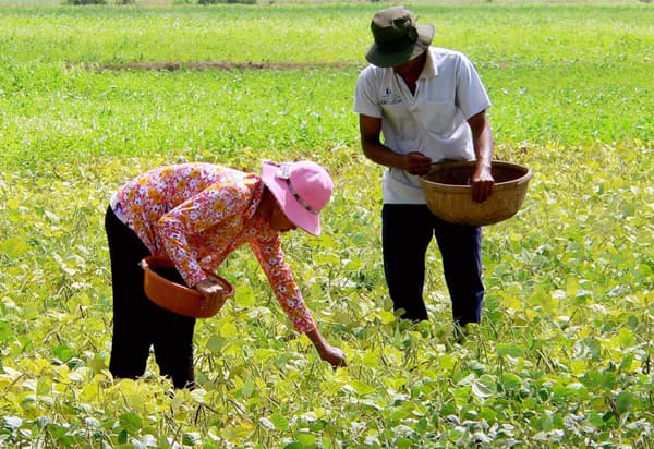 Chủ động xây dựng chiến lược thích ứng với biến đổi khí hậu