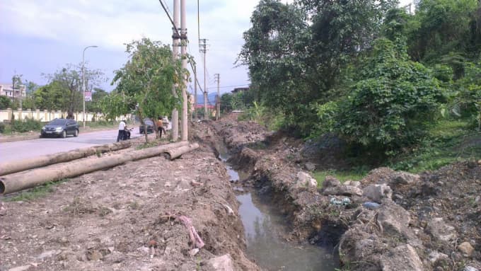 Thông tin từ đường dây nóng