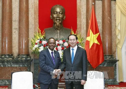 Chủ tịch nước Trần Đại Quang tiếp Bộ trưởng Phủ Tổng thống Madagascar