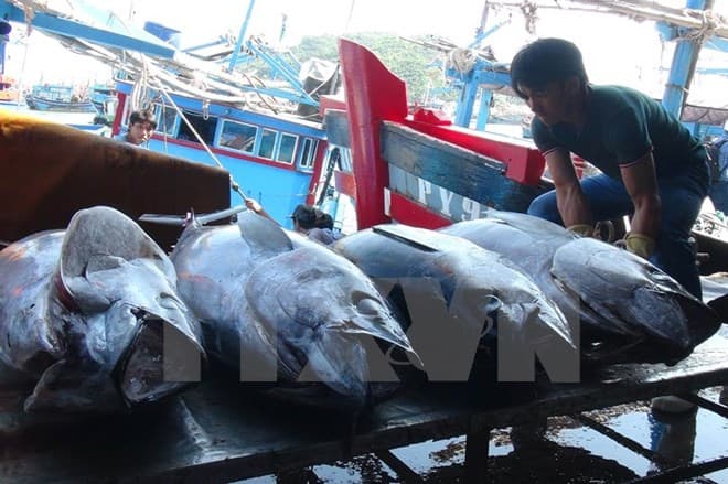 Việt Nam và Trung Quốc đẩy mạnh phát triển bền vững nghề cá ở Vịnh Bắc Bộ
