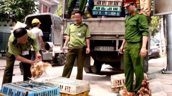 Virus H7N9 biến đổi có thể lây nhanh hơn trước 1.000 lần