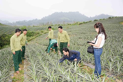 Bài 2: Hồi sinh trên vùng biên giới