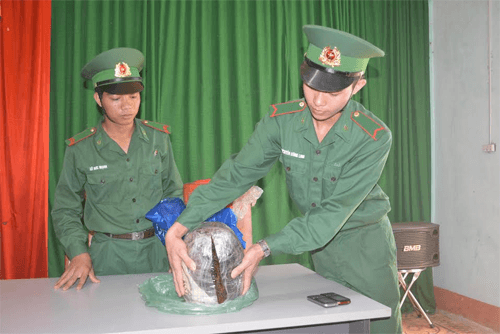 BĐBP Nghệ An bắt giữ đối tượng vận chuyển 10kg thuốc phiện qua biên giới