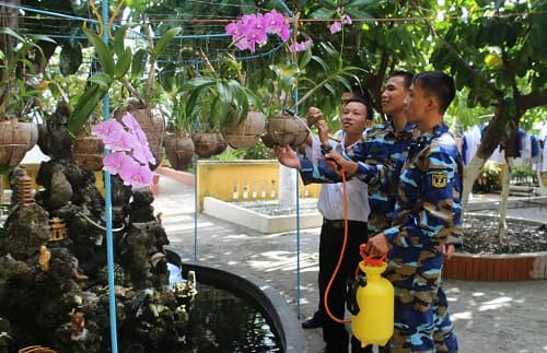 Dưới bóng dừa Nam Yết