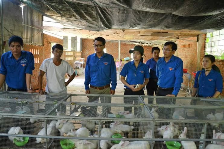 Cần mở rộng cả về nguồn vốn và hình thức cho vay