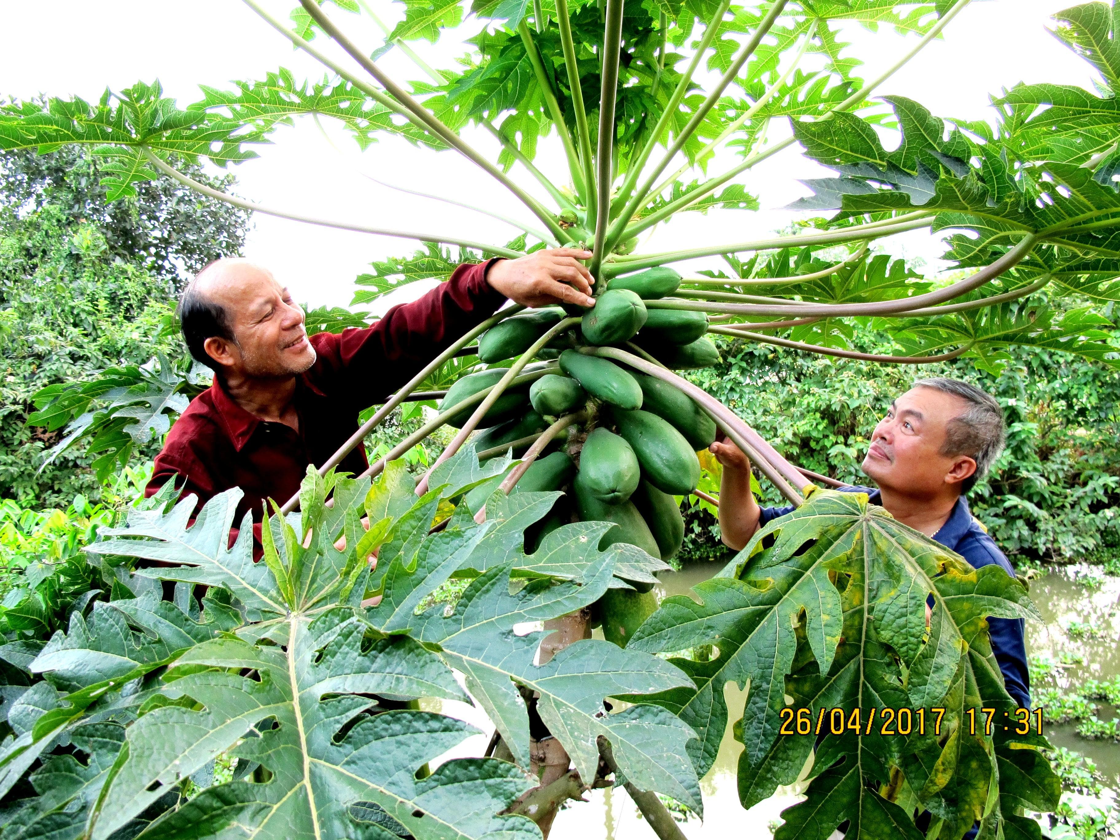 Người được hoãn... báo tử