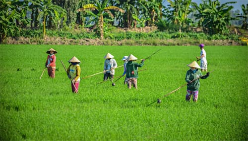 Nhiều mâu thuẫn cần được giải quyết