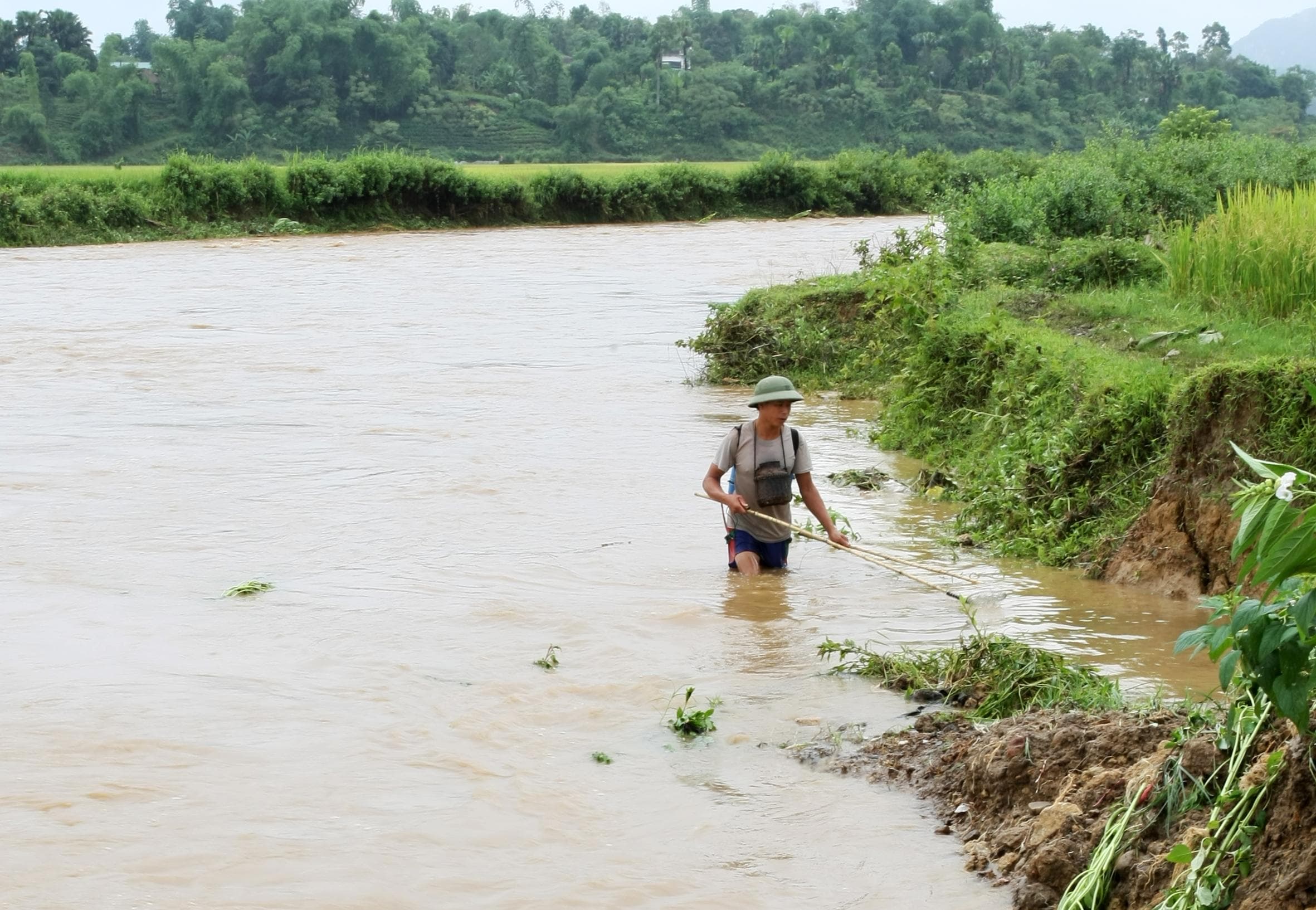 Ngăn chặn kịp thời