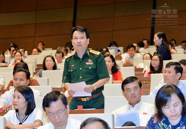 Cần quy định cụ thể hơn chính sách của Nhà nước trong phát triển rừng