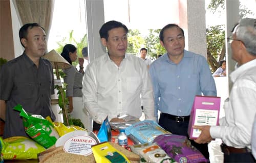 Cần tăng cường kết nối hợp tác xã với doanh nghiệp