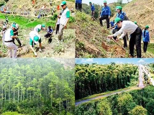 Kết hợp bảo vệ môi trường sống với phát triển bền vững kinh tế xanh