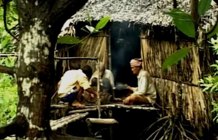 Tổ chức Tuần phim Kỷ niệm 70 năm Ngày Thương binh - Liệt sĩ