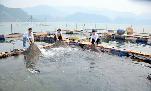 Tăng trưởng tín dụng bảo đảm ổn định kinh tế vĩ mô