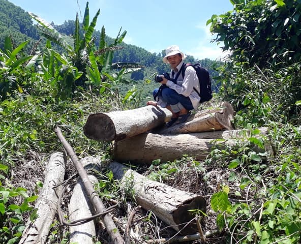 Thông tin từ đường dây nóng
