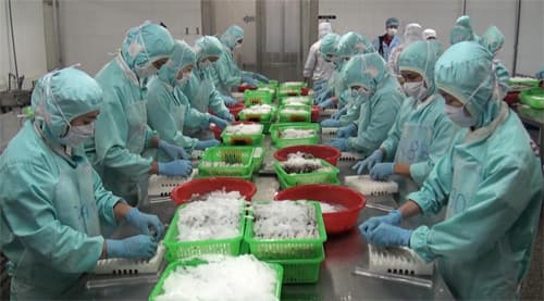 Chất lượng - yếu tố quyết định sản lượng xuất khẩu nông sản