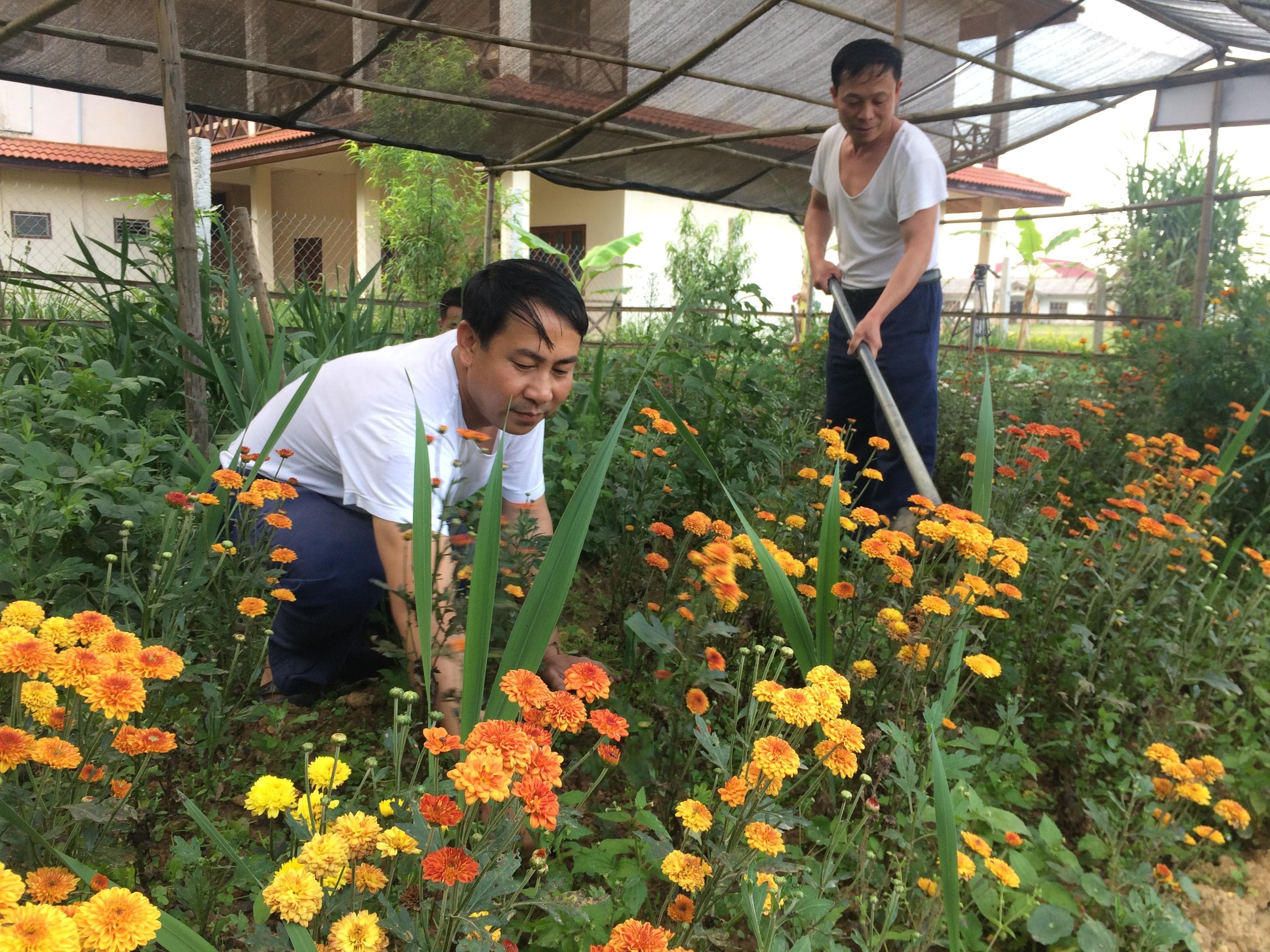 “Vườn hoa liệt sĩ”
