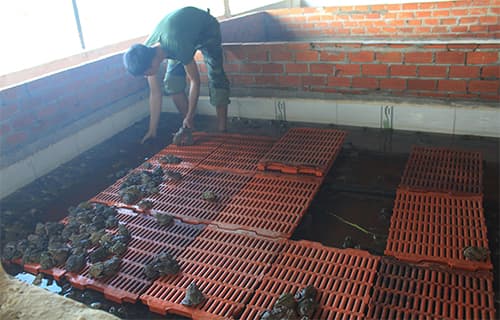 Để bộ đội ăn ngon, uống sạch