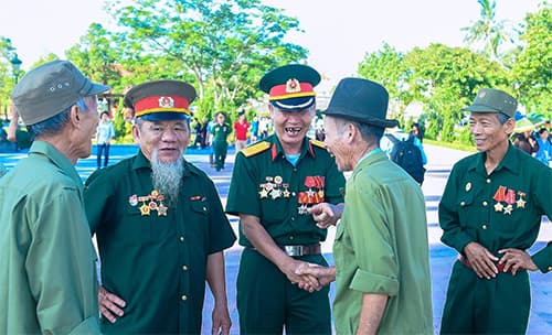 Cỏ rất xanh và sắc