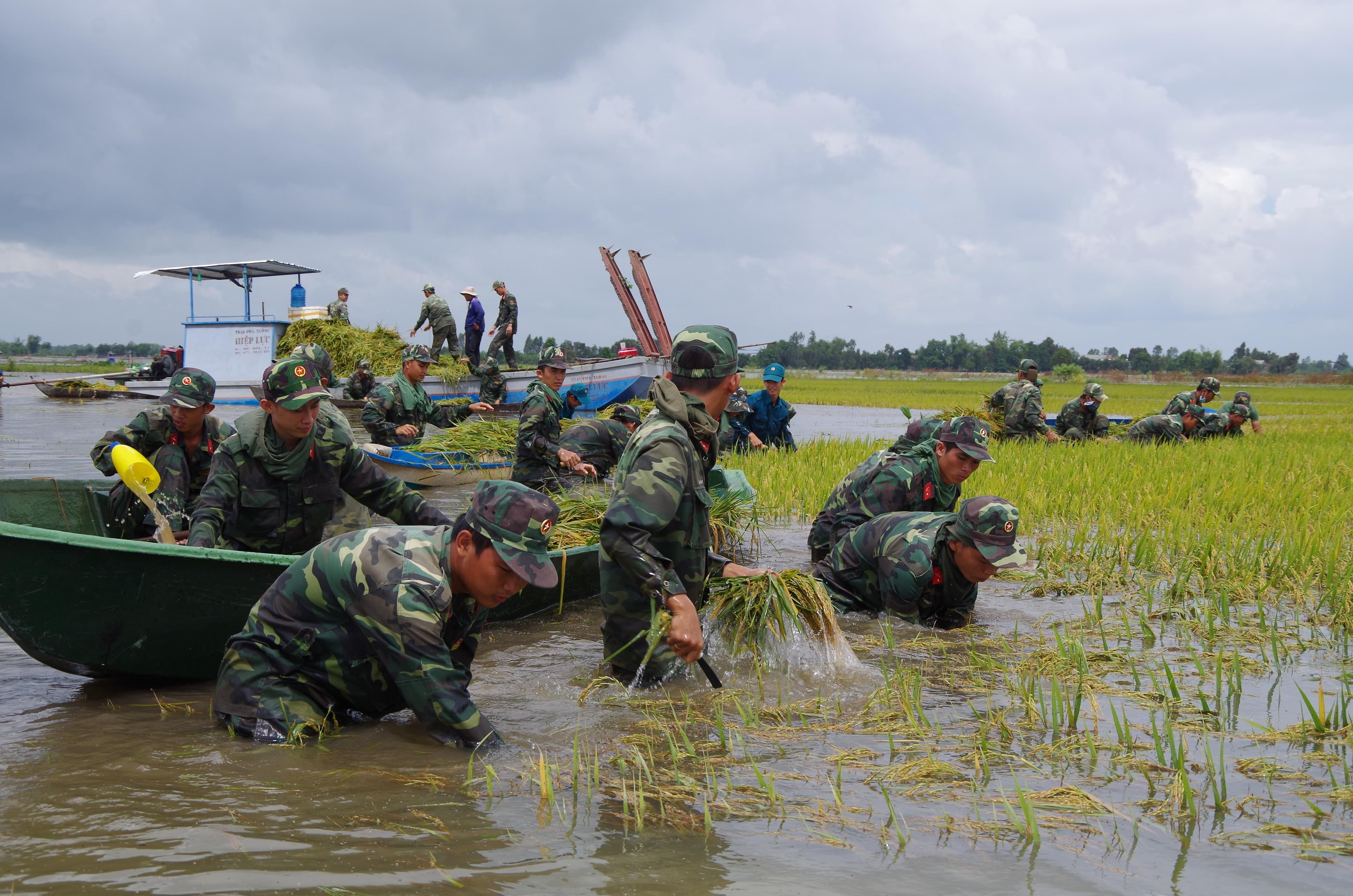 “Chạy đua” với lũ, nỗ lực giúp dân