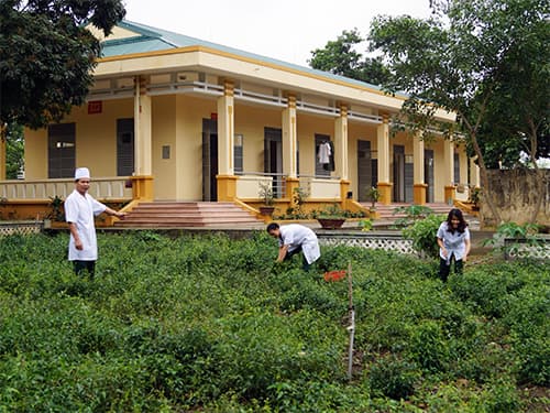 Chè vằng thương hiệu "PH"