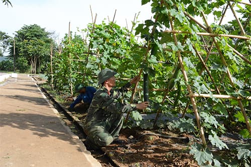 Nêu cao tính chủ động trong tăng gia sản xuất