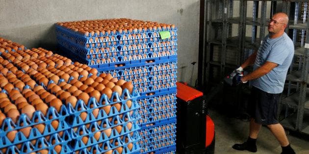 Khủng hoảng “trứng bẩn” tại châu Âu