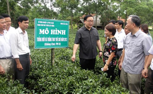 Ba Vì cần phát huy hiệu quả các mô hình sản xuất lớn