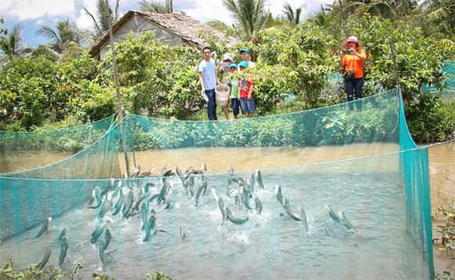 TP Cần Thơ: Phát huy mô hình du lịch cộng đồng cồn Sơn