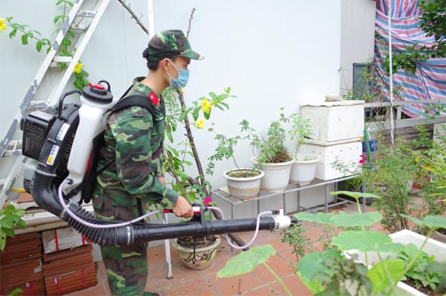 Phòng, chống sốt xuất huyết tại Hà Nội: Mới "nóng" ở nội đô