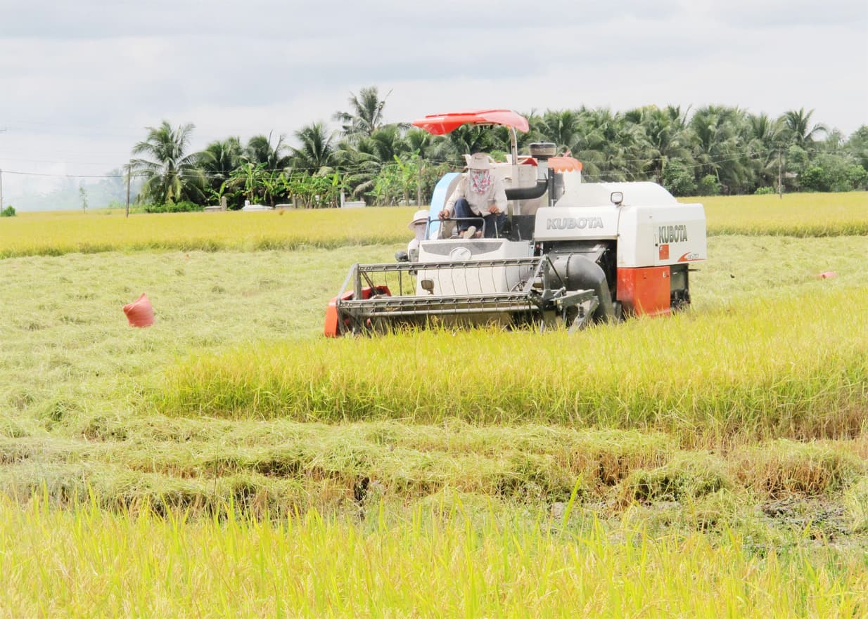 Để nông nghiệp thích ứng được với biến đổi khí hậu